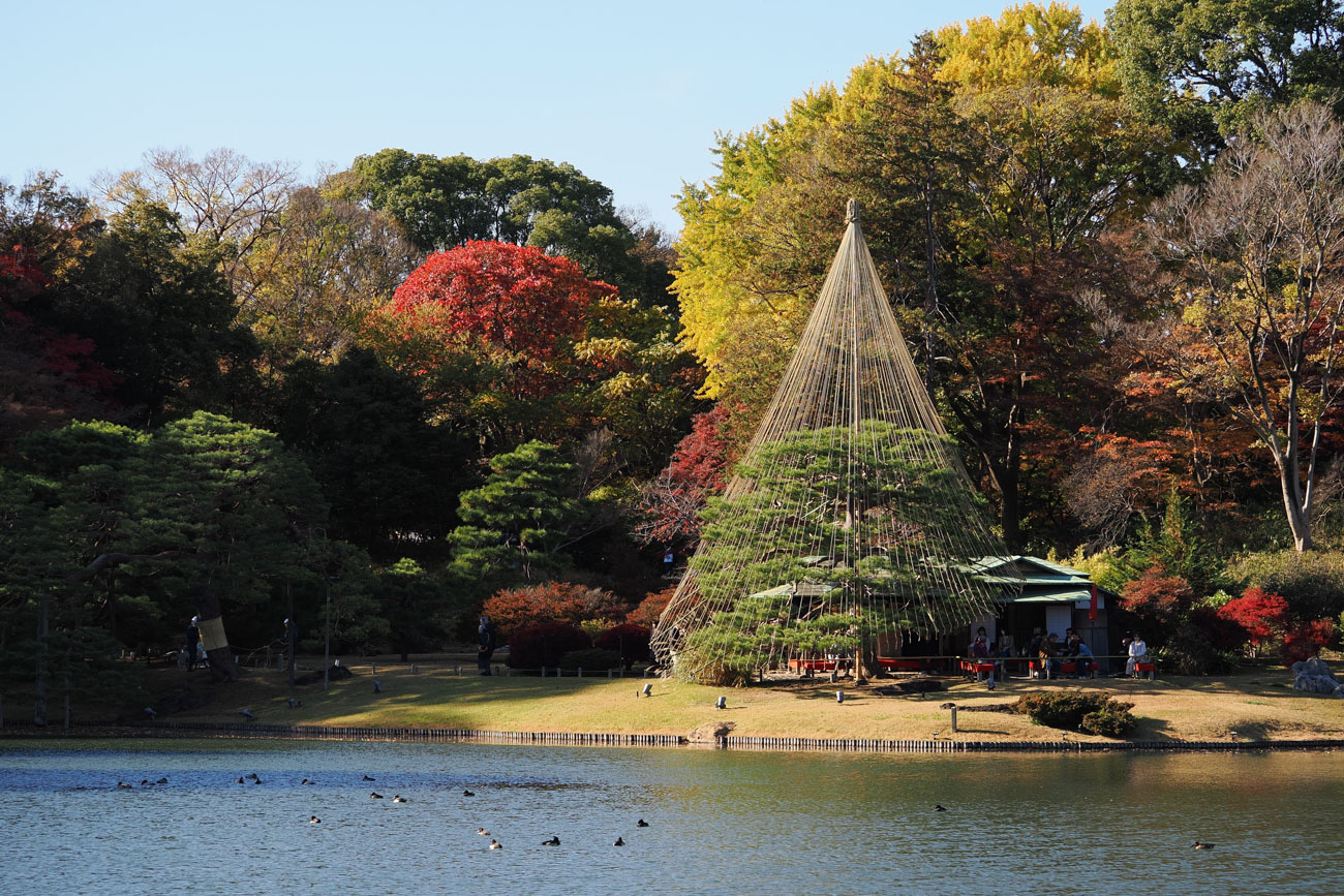 レンタル - OM SYSTEM(OLYMPUS) M.ZUIKO DIGITAL ED 40-150mm F4.0 PRO
