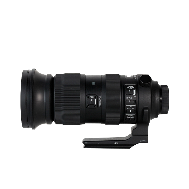 レンタル - SIGMA(シグマ)60-600mm F4.5-6.3 DG OS HSM [ニコン用