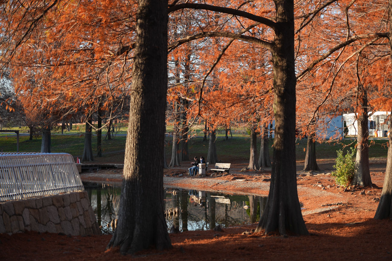 E 16-55mm F2.8 G SEL1655G