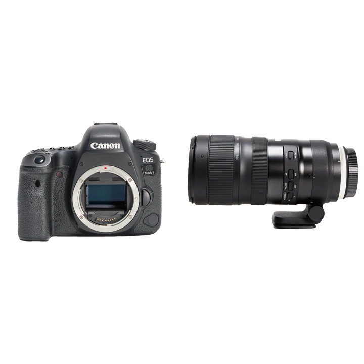 レンタル - Canon 軽快フルサイズ一眼レフ＆ TAMRON望遠ズームセット 