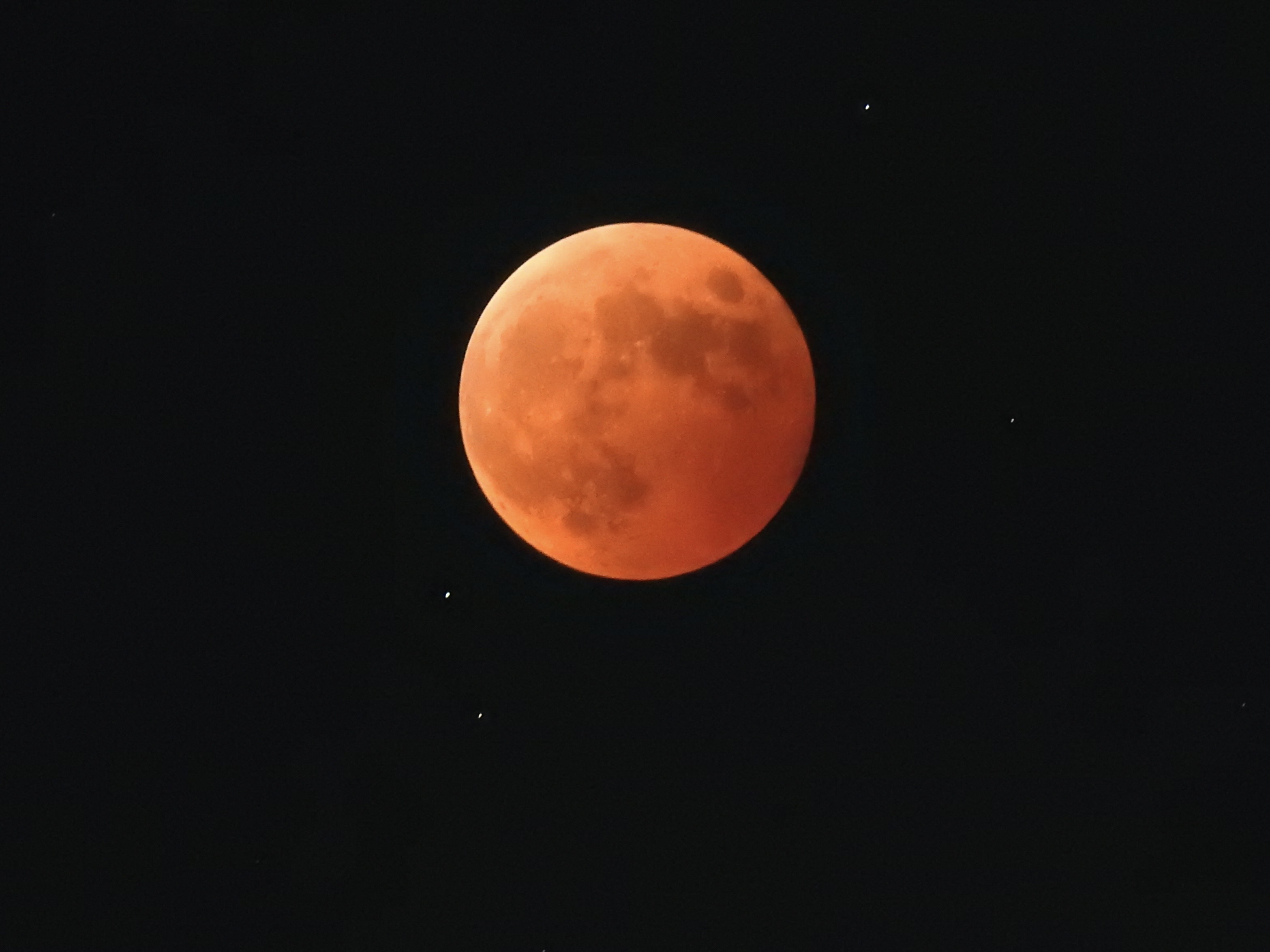 COOLPIX P900