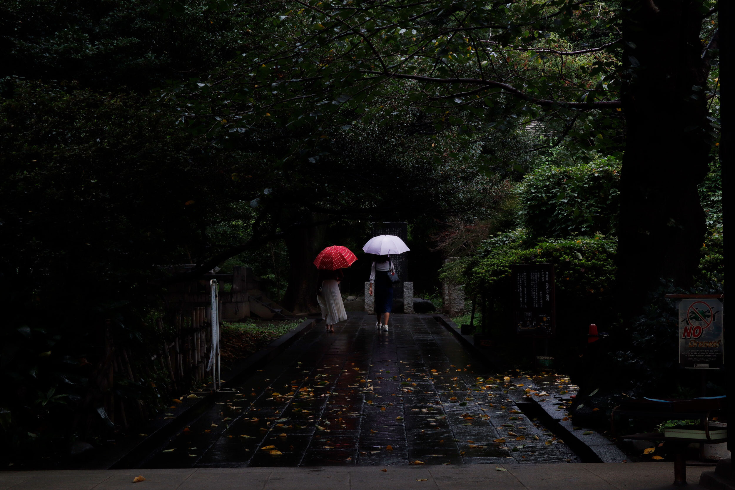EOS Kiss M EF-M15-45 IS STM レンズキット [ホワイト]