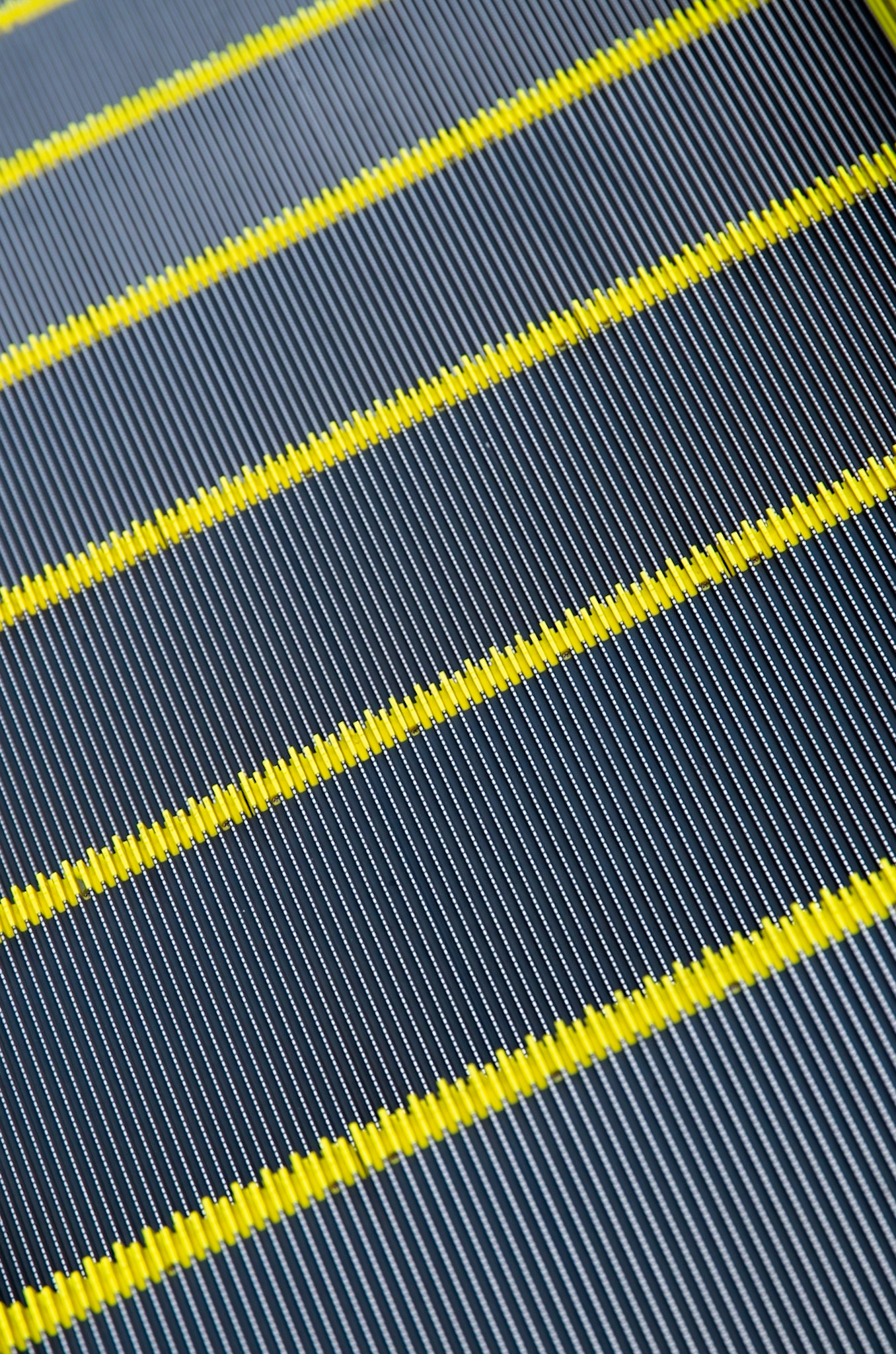 レンタル - Nikon 最新フルサイズ一眼レフ＆シャープな描写の標準