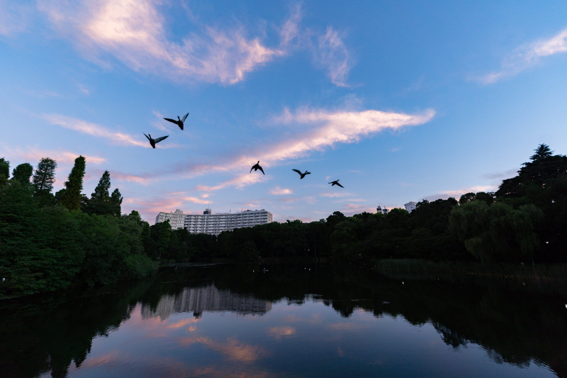 16-28mm F2.8 DG DN[ソニーE用]