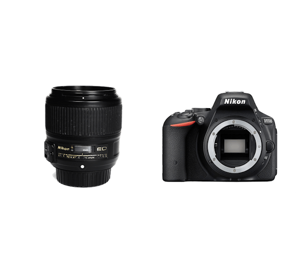 レンタル - Nikon 軽量一眼レフ & ボケる標準単焦点セット D5500 + AF ...