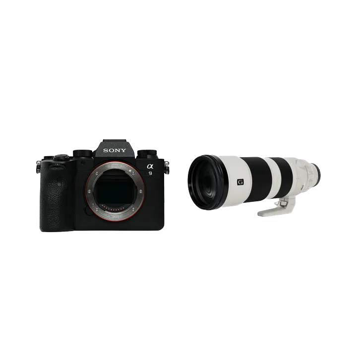 レンタル - SONY(ソニー) FE 200-600mm F5.6-6.3 G OSS SEL200600G