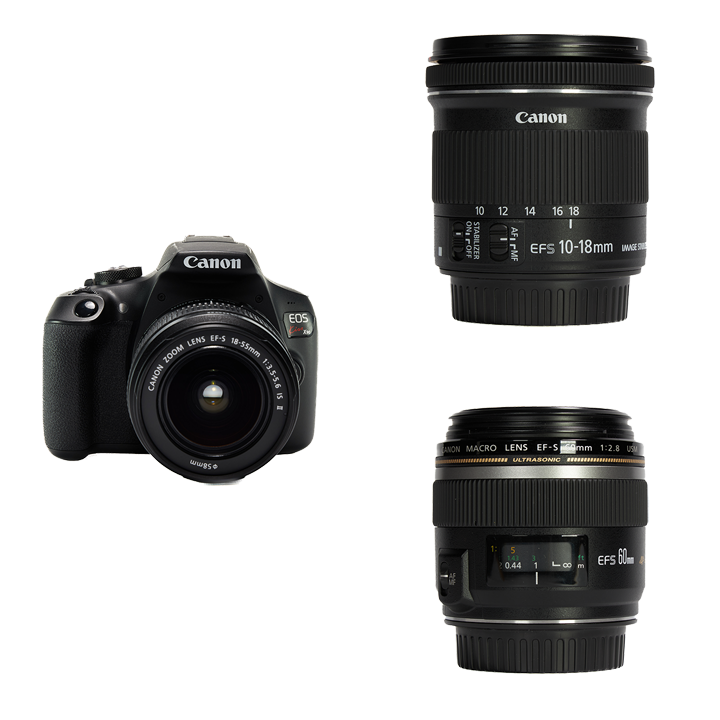 Canon お手軽一眼レフ u0026 レンズ3本セット EOS Kiss X90 + EF-S18-55mm + EF-S10-18mm +  EF-S60mmマクロ