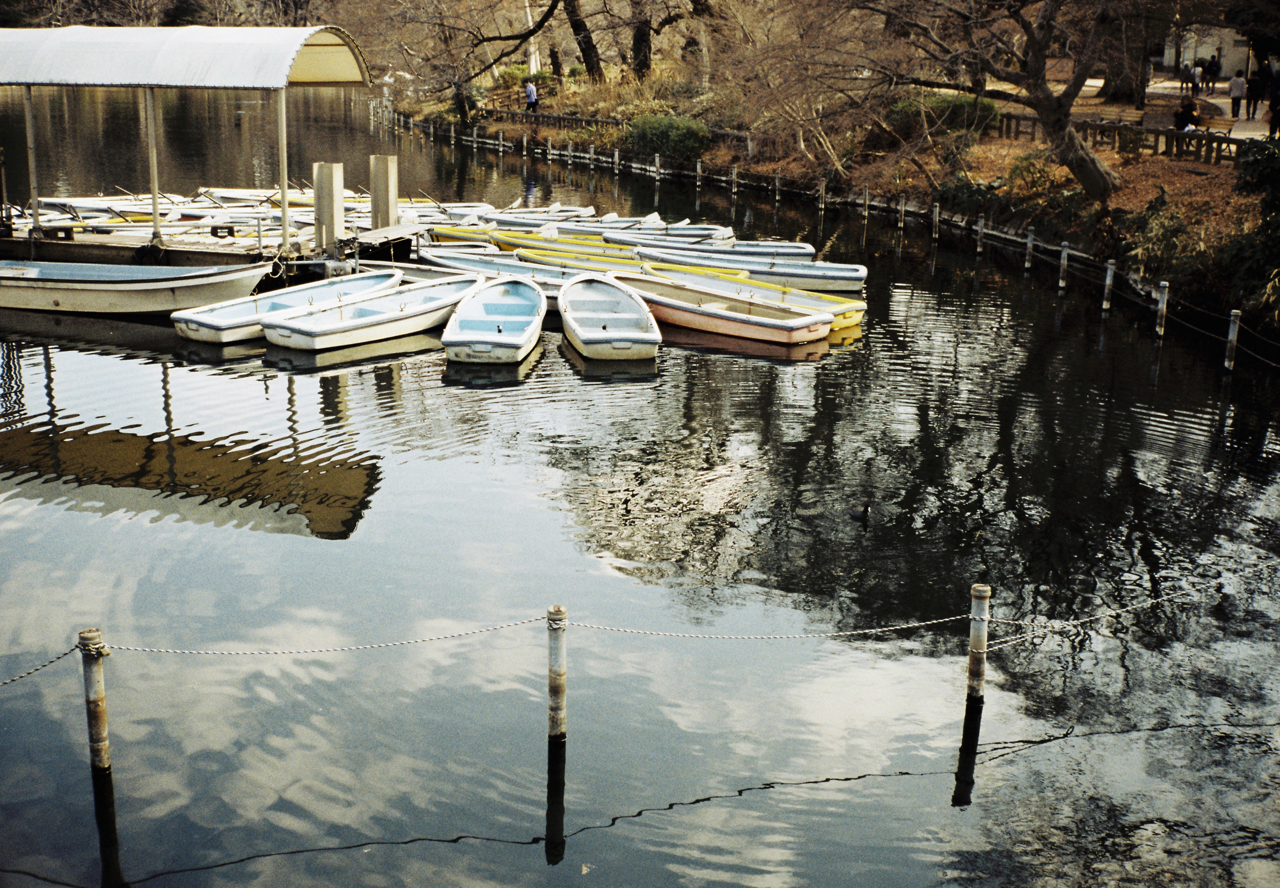 CONTAX T2 チタンクローム