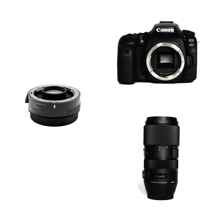 キヤノン(Canon) EOS 90D ボディ(レンズ別売) デジタル一眼カメラ