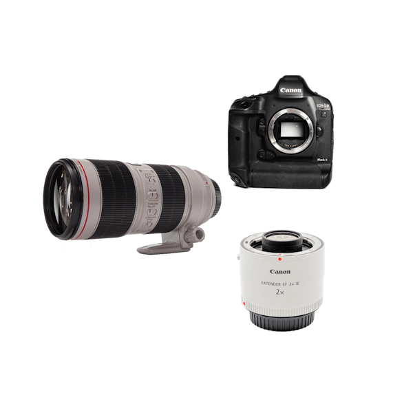 Canon プロ仕様最上位機 & 純正大口径望遠ズームレンズテレコンセット EOS-1D X Mark II ボディ + EF70-200mm  F2.8L IS III USM + EXTENDER EF2X III