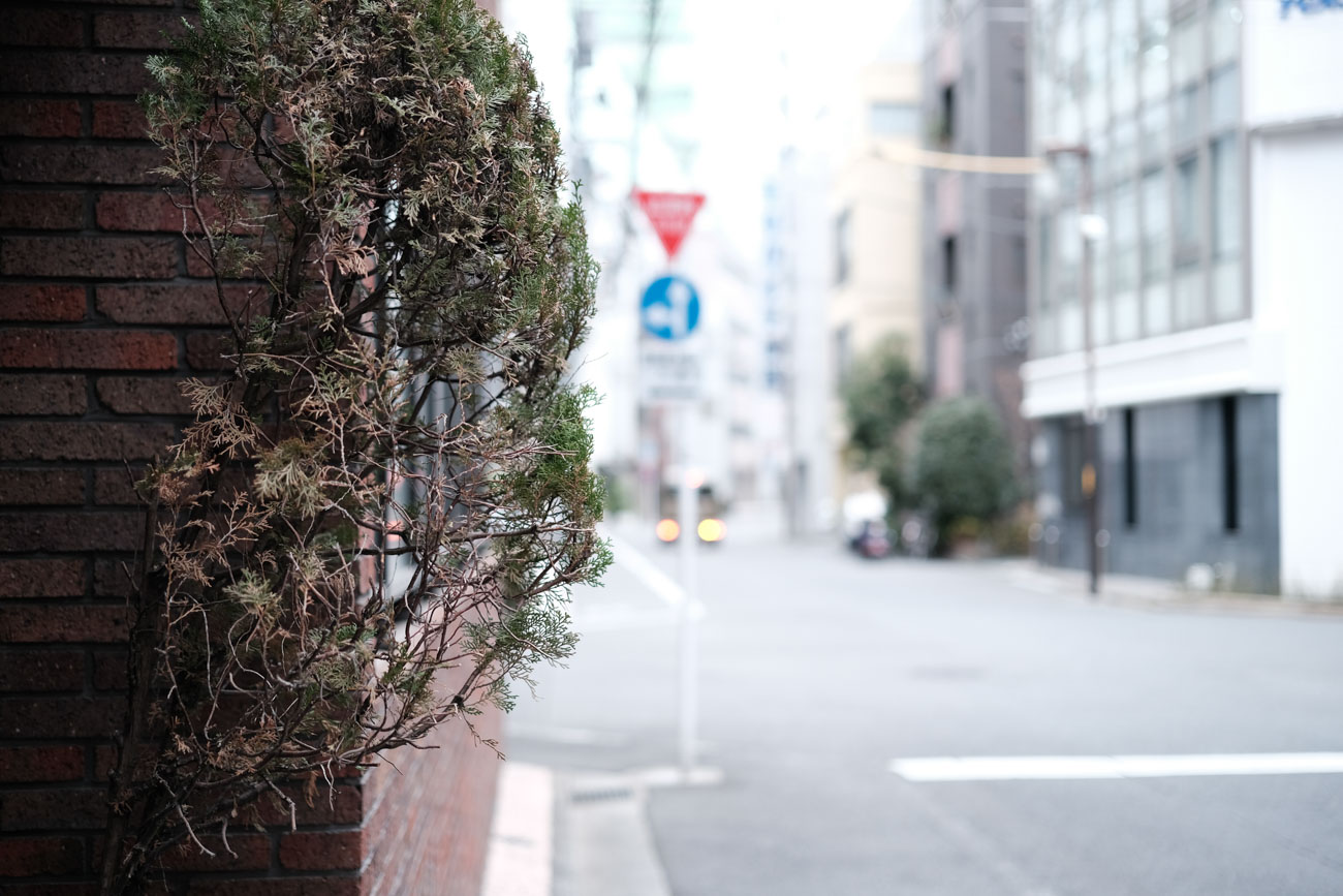 FUJIFILM スナップを楽しむミラーレス & 新世代標準単焦点レンズ X-Pro3 [DRシルバー] + XF33mmF1.4 R LM WR