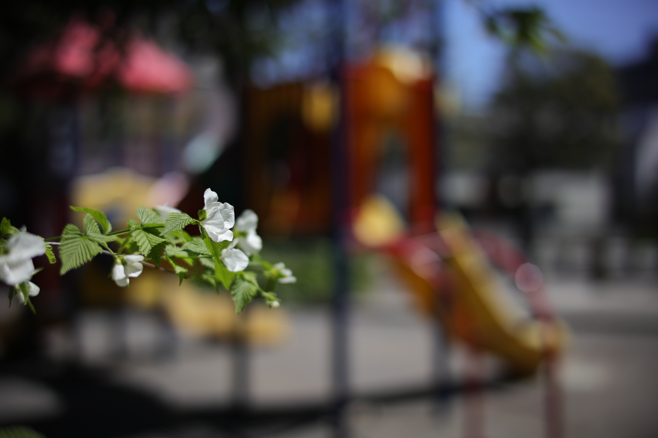 フォクトレンダー NOKTON 40mm F1.2 Aspherical [キヤノンRF用]