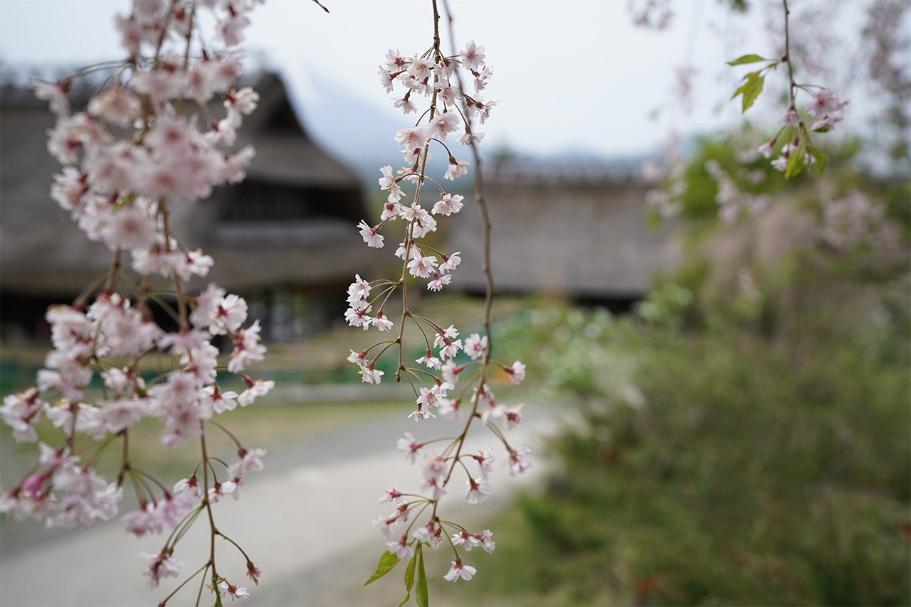 FE 16-35mm F2.8 GM SEL1635GM