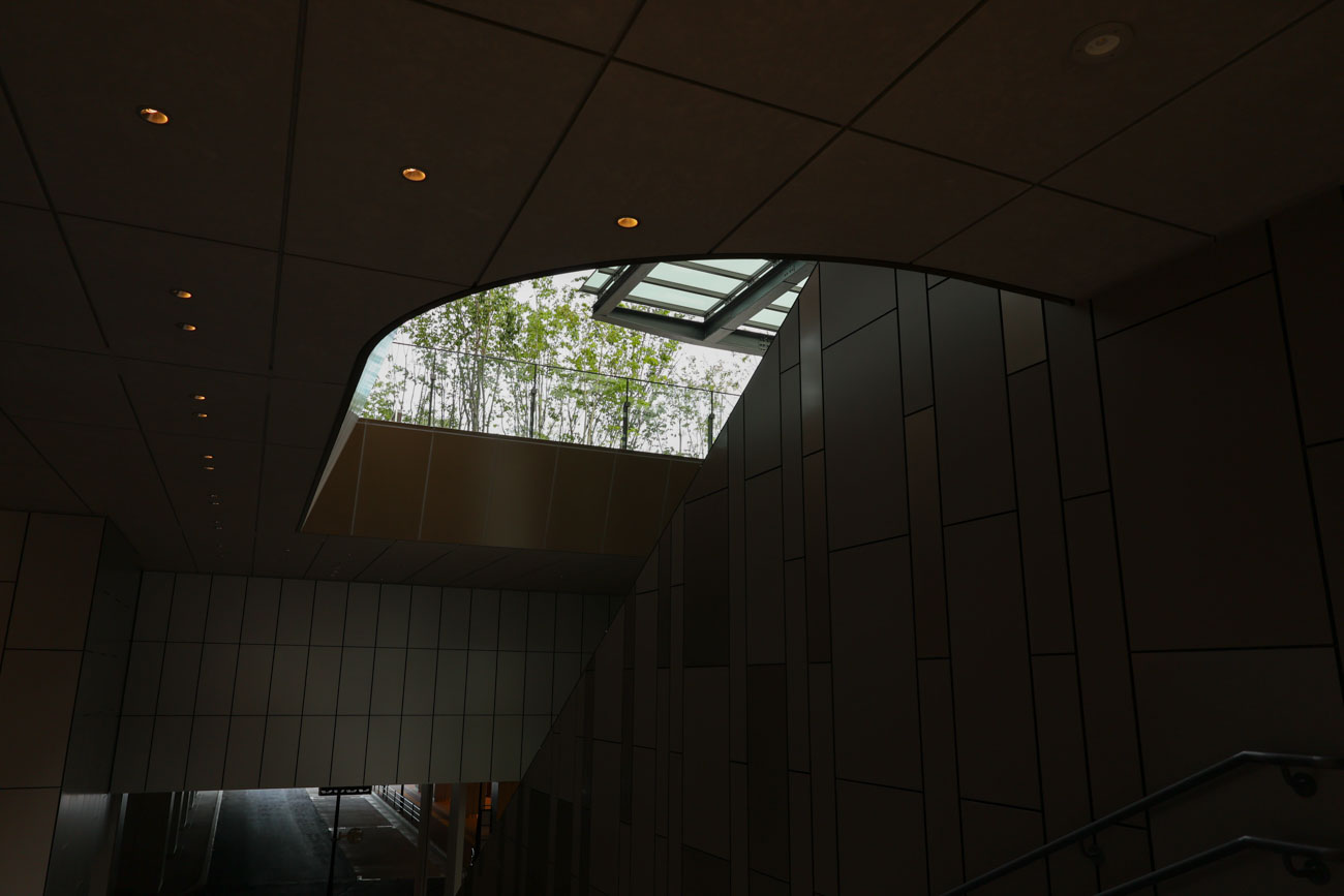 RF24-50mm F4.5-6.3 IS STM