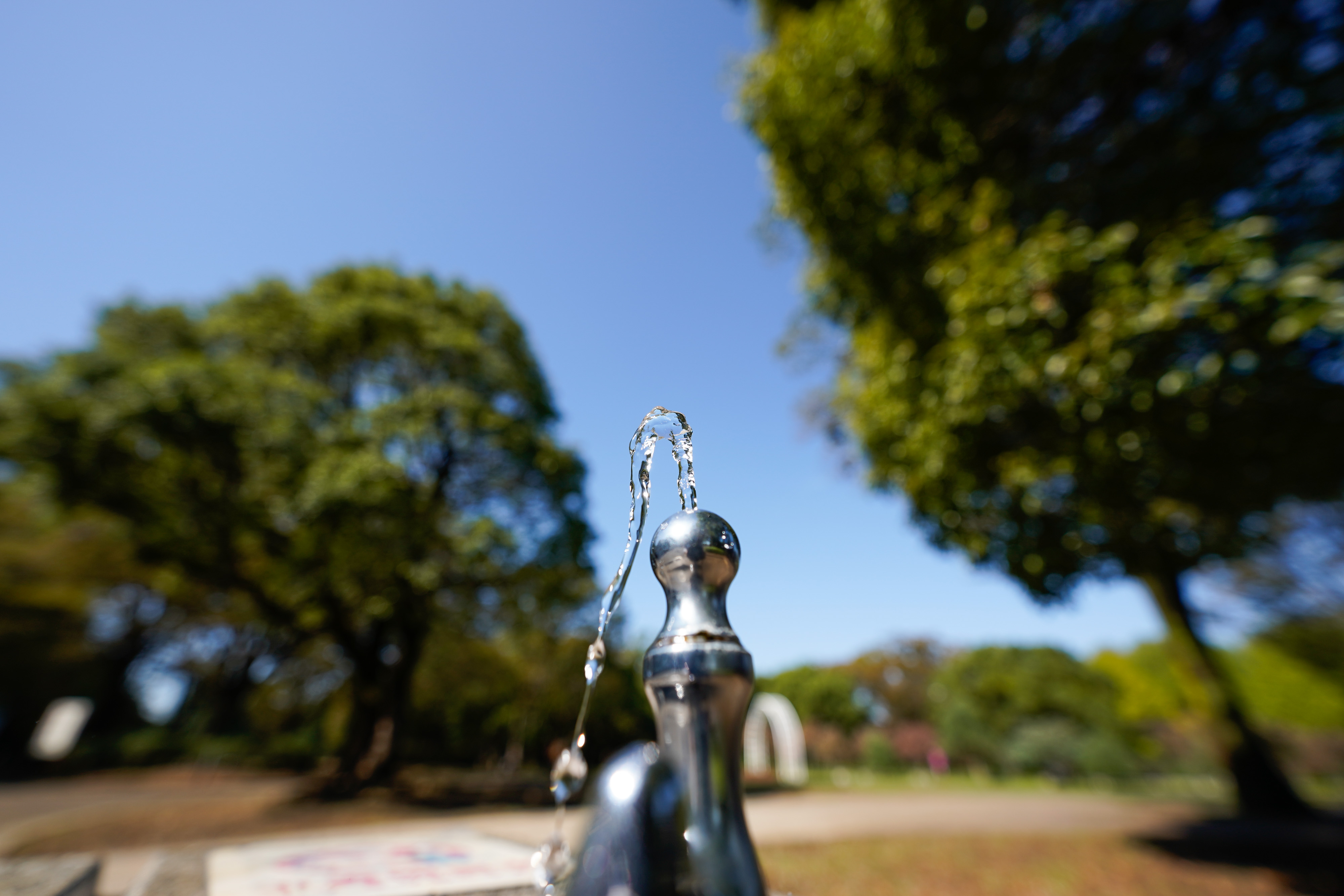 14-24mm F2.8 DG DN [ライカL用]