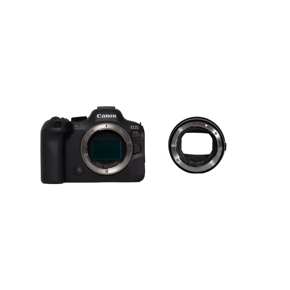 極美品Canon EOS R6 ボディ、バッテリー、ストラップ、 - デジタルカメラ