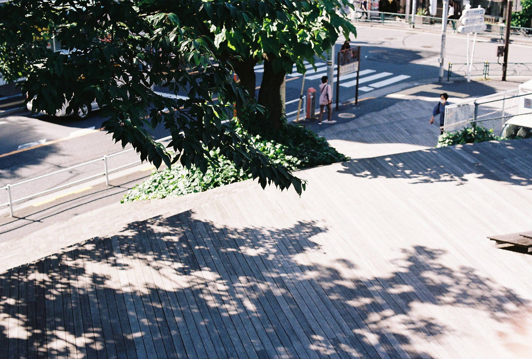 レンタル - Nikon New FM-2 シルバー + Nikon Ai Nikkor 50mm F1.4S