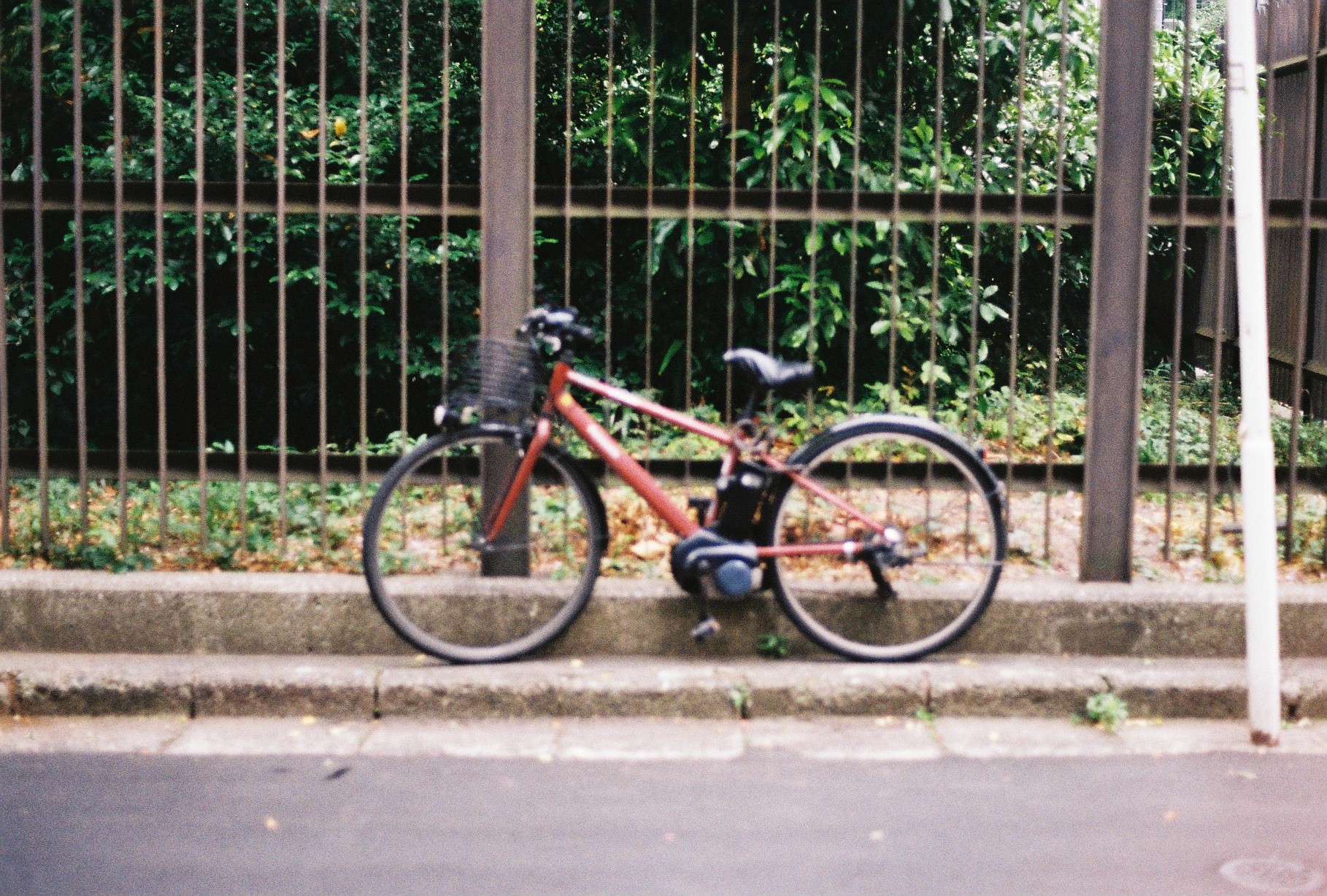 レンタル - Nikon New FM-2 シルバー + Nikon Ai Nikkor 50mm F1.8