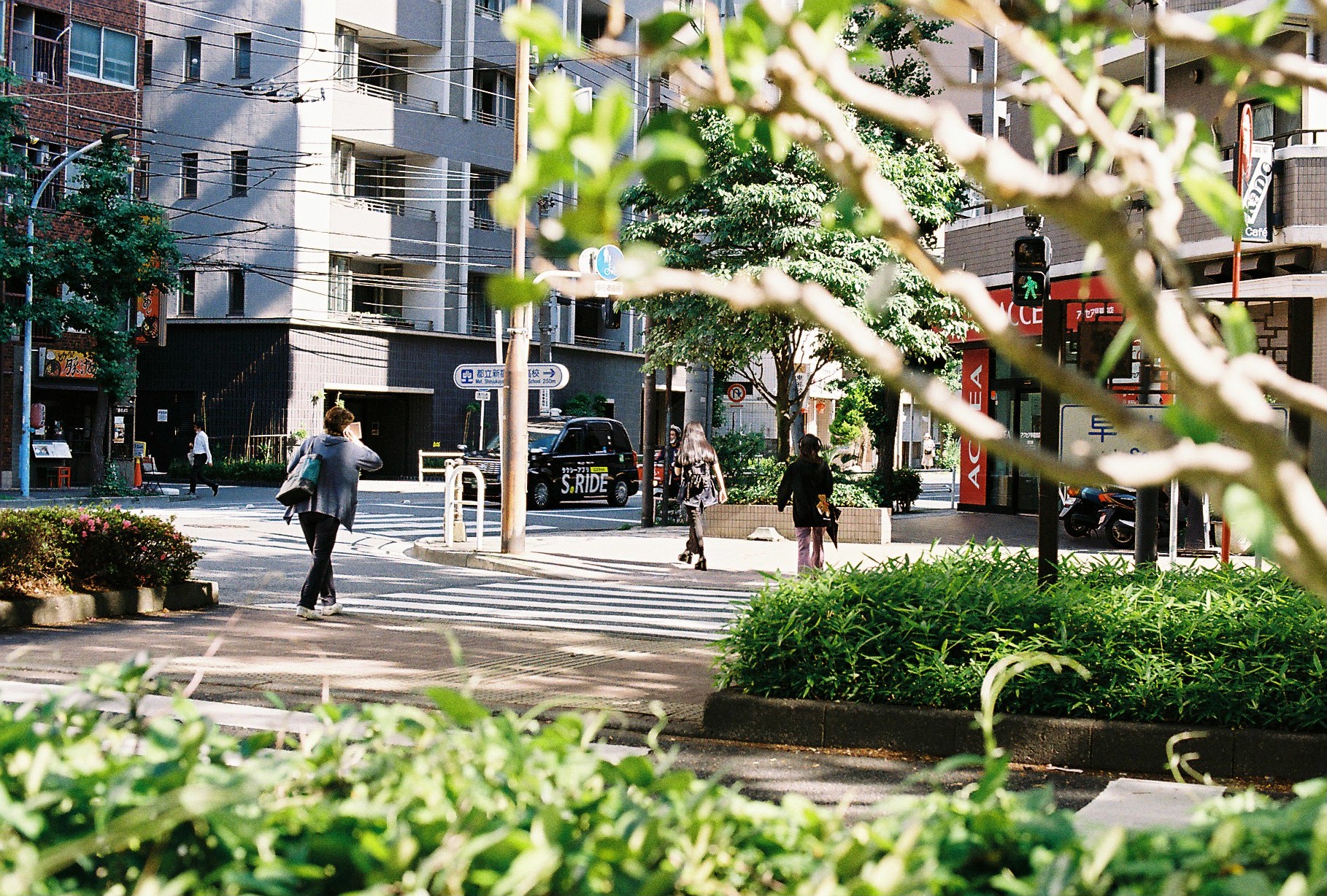 レンタル - Nikon F3 アイレベル + Nikon Ai Nikkor 50mm F1.4S