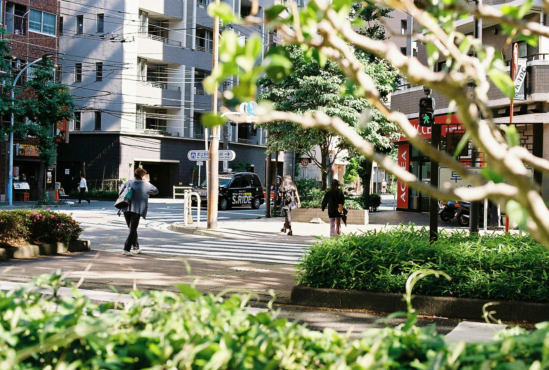 レンタル - Nikon F3 アイレベル + Nikon Ai Nikkor 50mm F1.4S