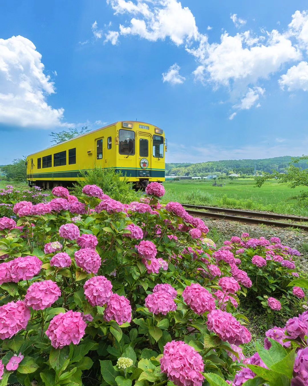 EF16-35mm F2.8L III USM