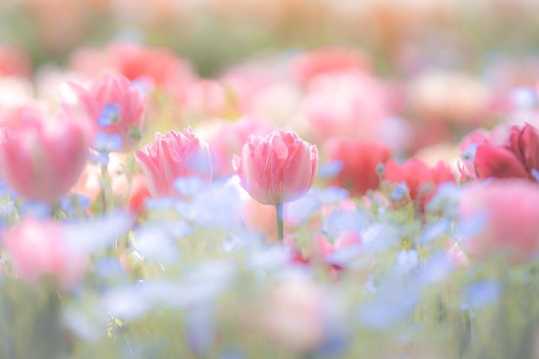 α7 III ILCE-7M3 ボディ
