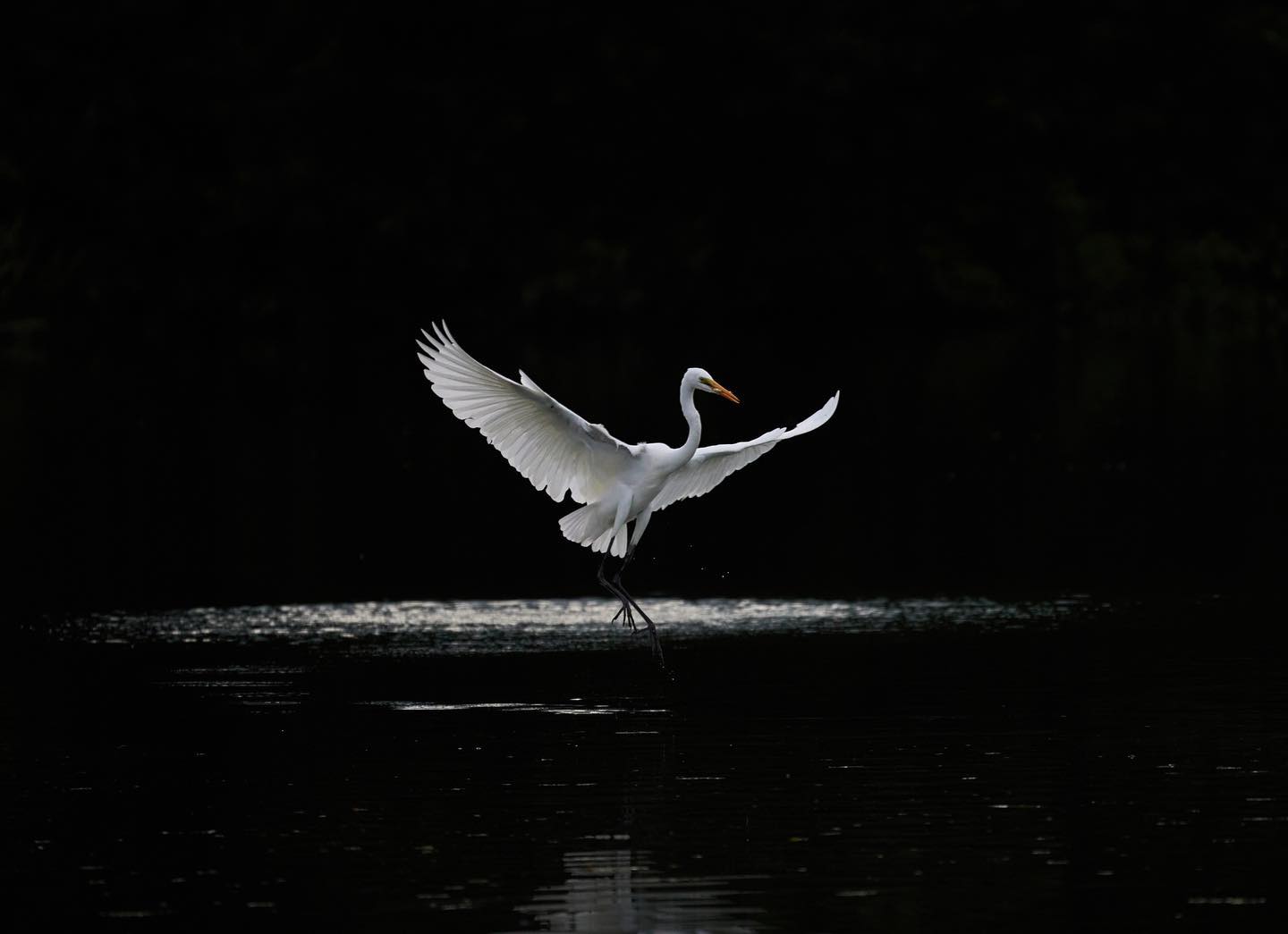 α6600 ILCE-6600 ボディ