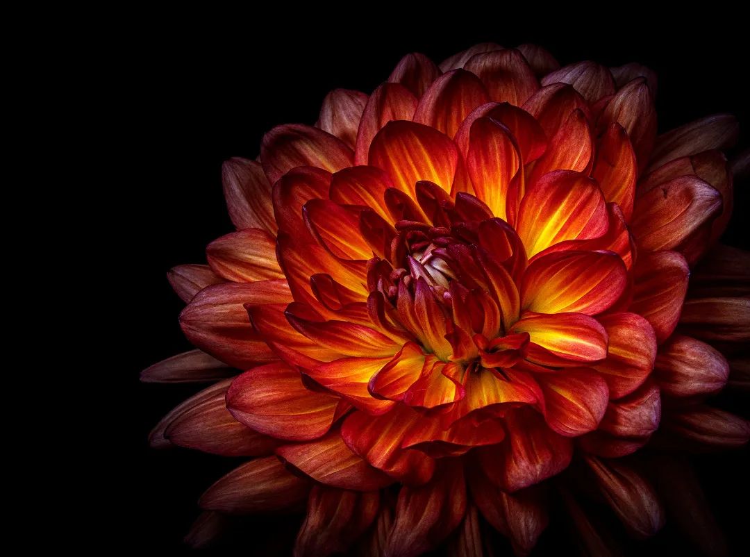 レンタル - SONY(ソニー) α7C ILCE-7C ボディ [ブラック] | カメラと