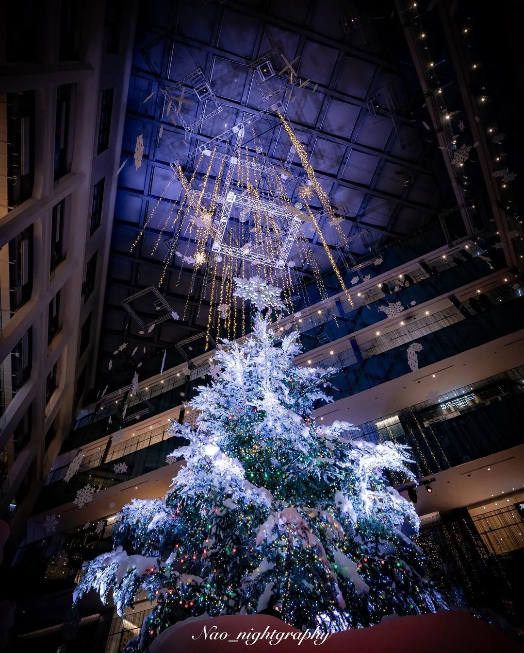 レンタル - SONY(ソニー) α7C ILCE-7C ボディ [ブラック] | カメラと