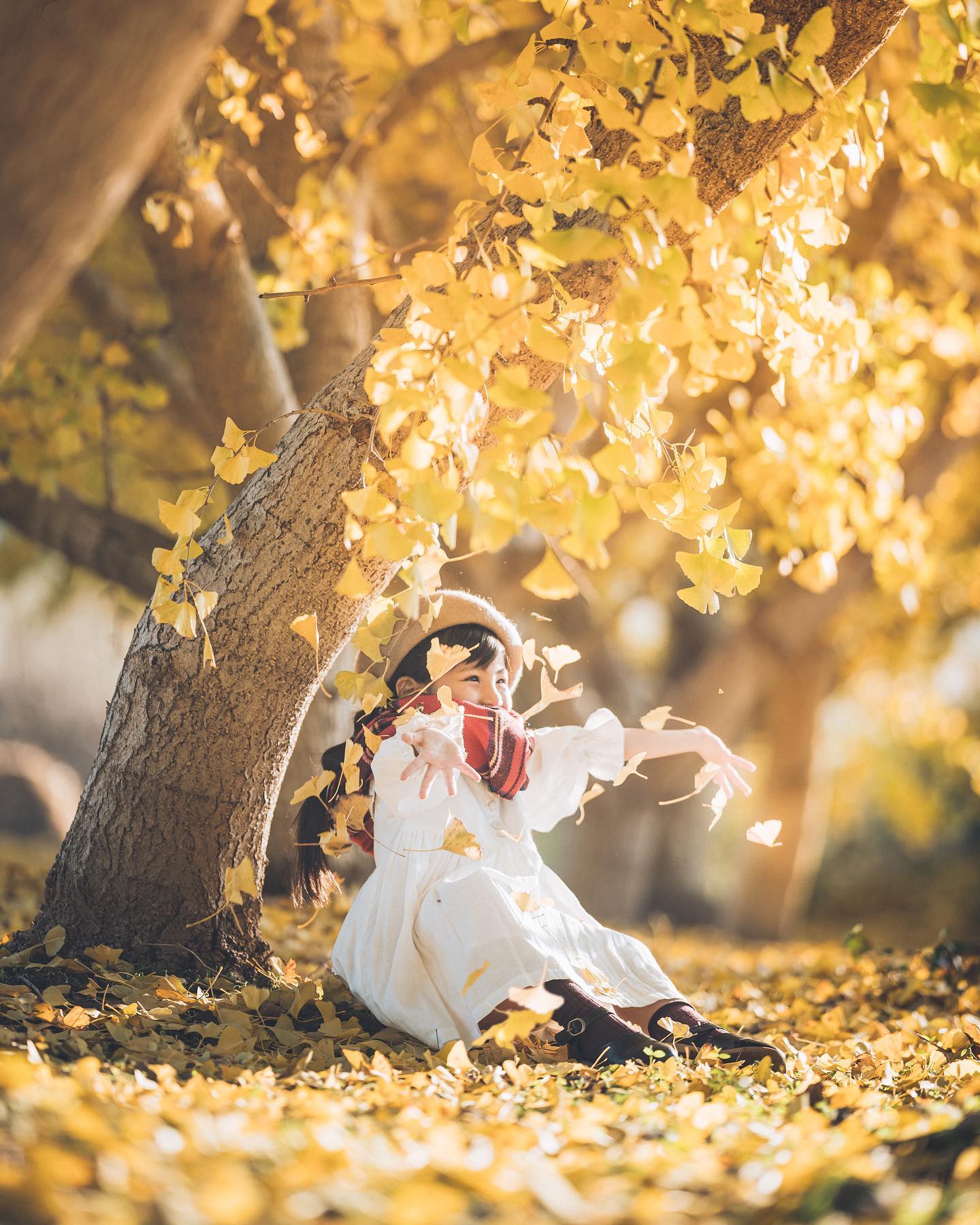 α7R III ILCE-7RM3 ボディ