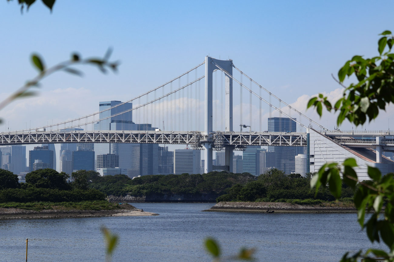 Canon 高倍率ズームレンズセット EOS R50 ボディ [ホワイト] + RF-S18-150mm F3.5-6.3 IS STM