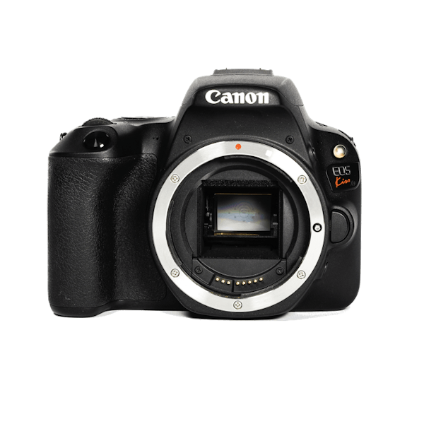 Canon EOS KISS X9 ホワイト 単焦点レンズ - デジタルカメラ