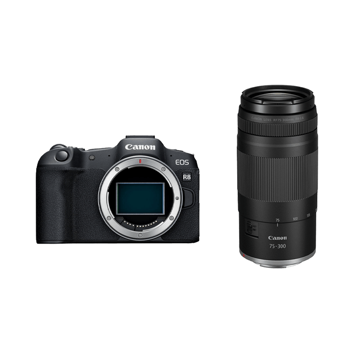 レンタル - Canon(キヤノン) RF75-300mm F4-5.6 | カメラと交換レンズ