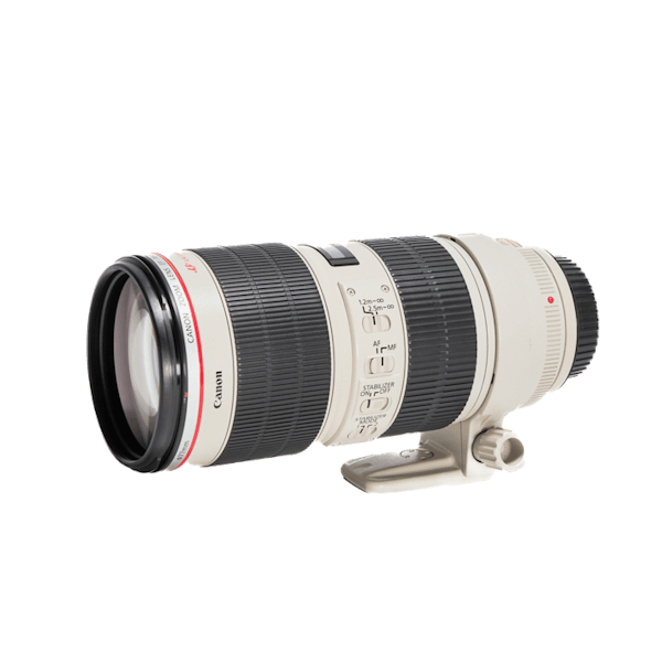 レンタル - Canon(キヤノン)EF70-200mm F2.8L IS II USM | カメラと