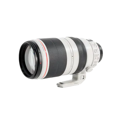 レンタル - Canon(キヤノン) EF100-400mm F4.5-5.6L IS II USM レンタル - Canon(キヤノン) EF100-400mm F4.5-5.6L IS II USM
