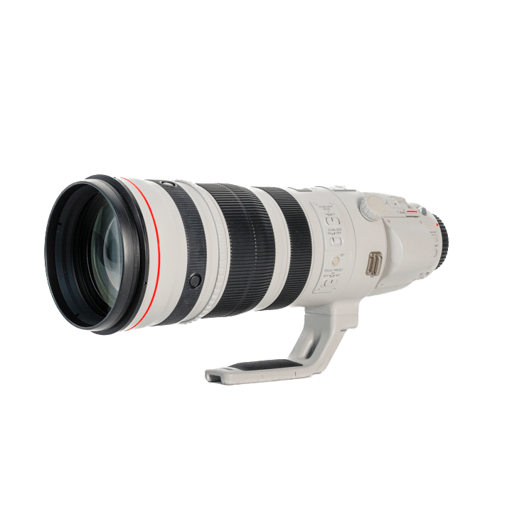 レンタル - Canon(キヤノン)EF200-400mm F4L IS USM エクステンダー