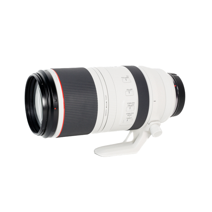 Canon(キヤノン) RF100-500mm F4.5-7.1 L IS USM