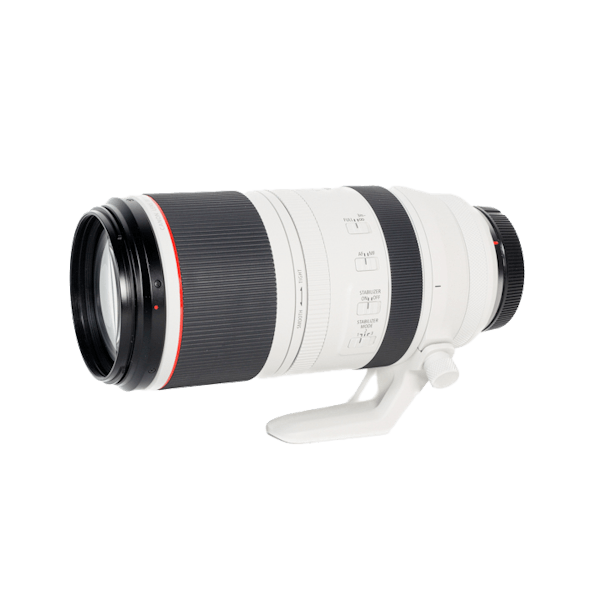 レンタル - Canon(キヤノン)RF100-500mm F4.5-7.1 L IS USM | カメラと 