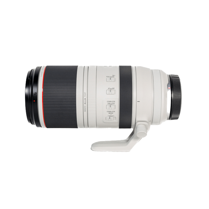 レンタル - Canon(キヤノン)RF100-500mm F4.5-7.1 L IS USM | カメラと 