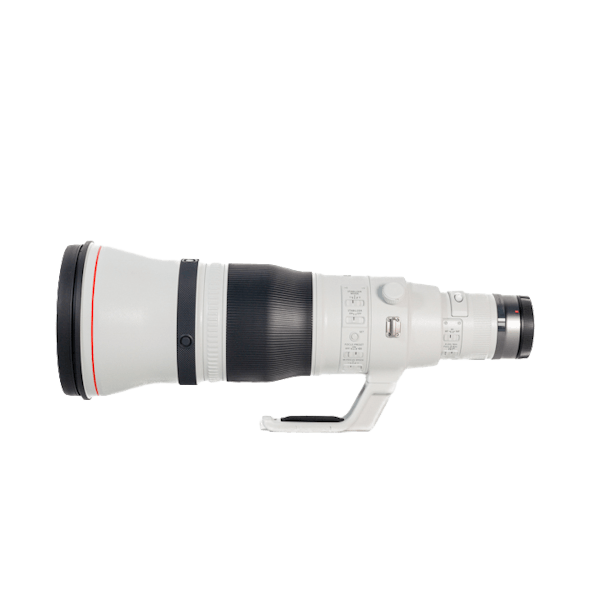 レンタル - Canon(キヤノン)RF600mm F4 L IS USM | カメラと交換レンズ