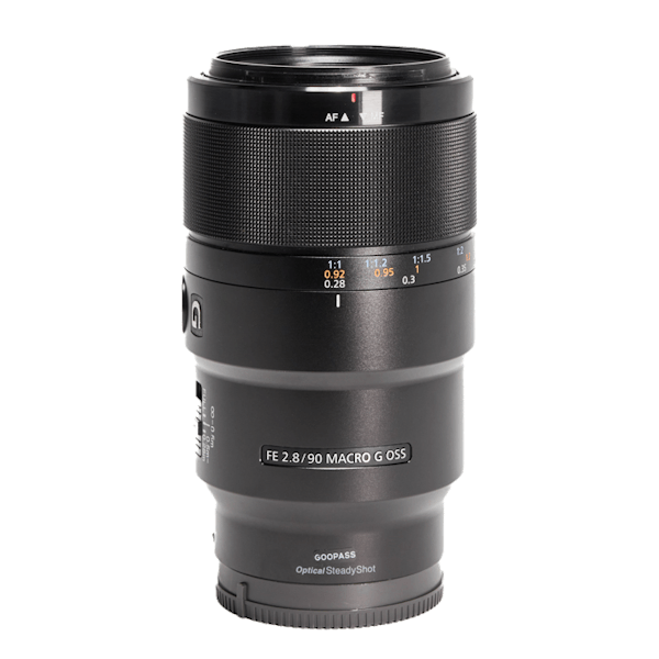 レンタル - SONY(ソニー)FE 90mm F2.8 Macro G OSS SEL90M28G | カメラ ...