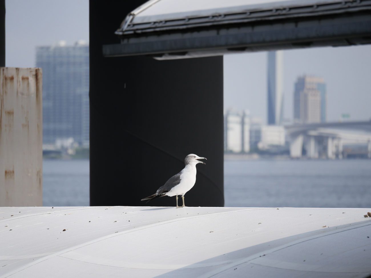 LUMIX G X VARIO 35-100mm/F2.8 II/POWER O.I.S. H-HSA35100
