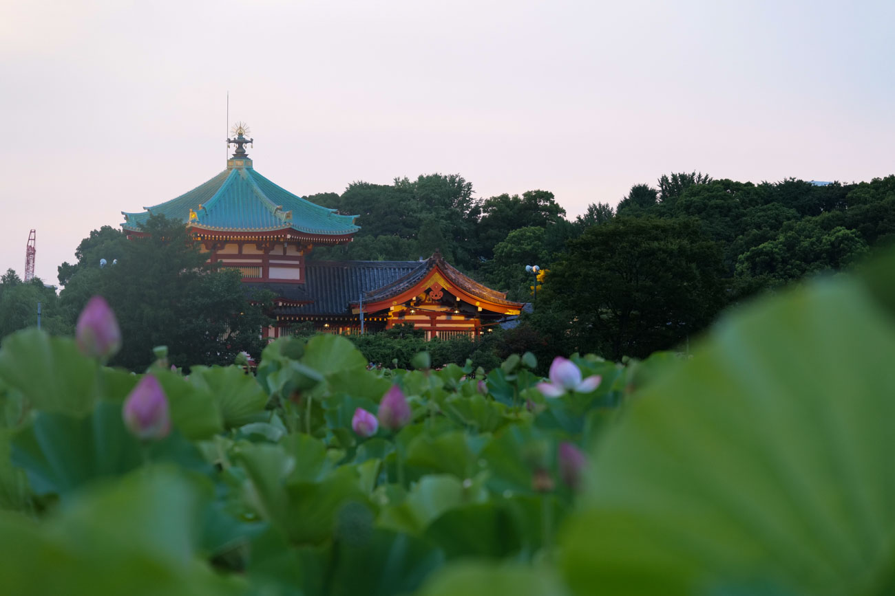 Panasonic 軽快フルサイズミラーレス&高倍率ズームレンズセット LUMIX DC-S5 ボディ + LUMIX S 28-200 mm F4-7.1 MACRO O.I.S.