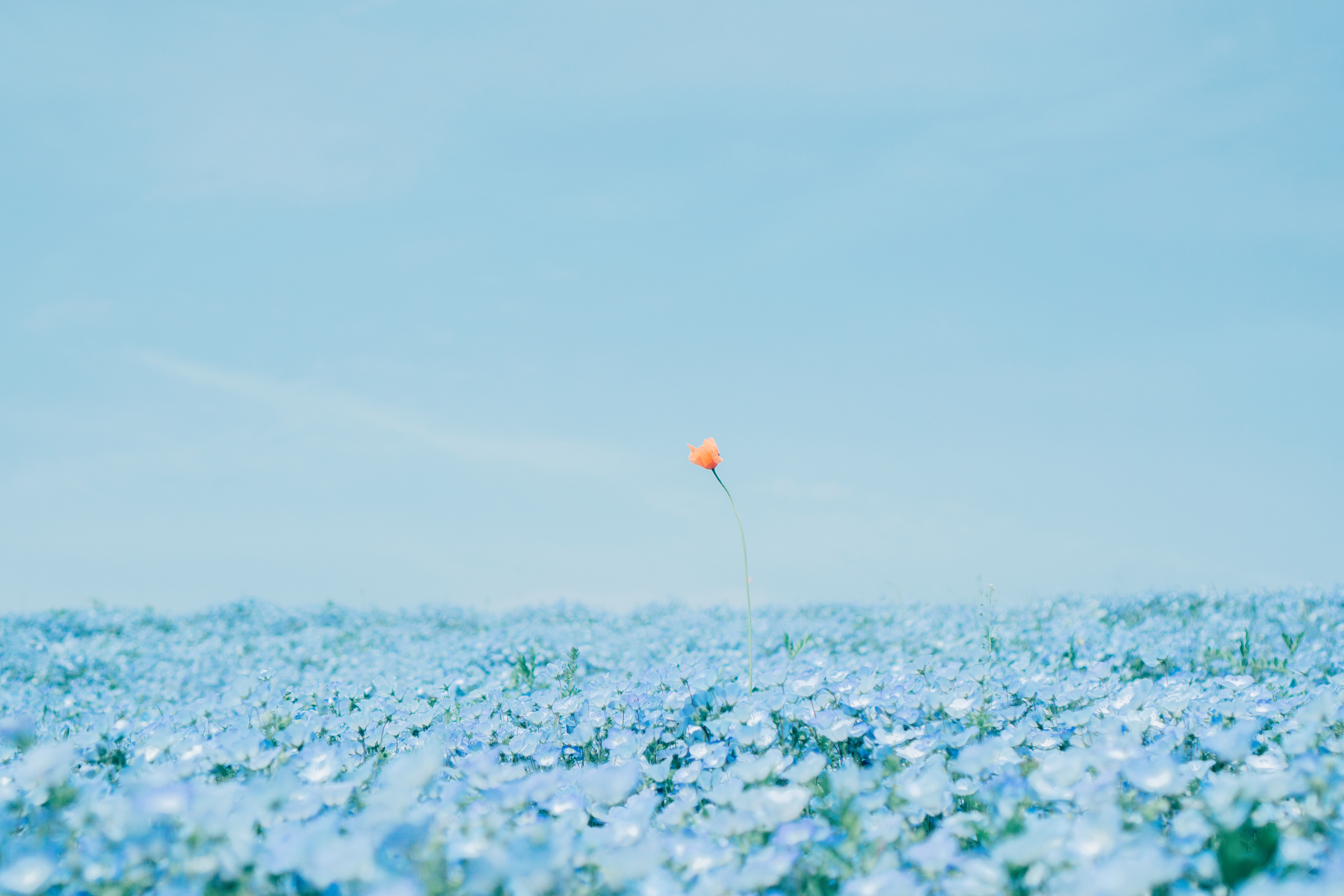【古性のちさん監修】X-T3 ボディ [ブラック] + フジノンレンズ XF23mmF1.4 R
