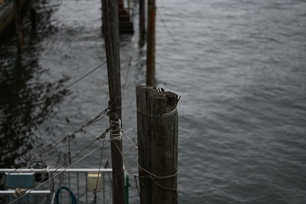 NIKKOR Z 85mm f/1.8 S