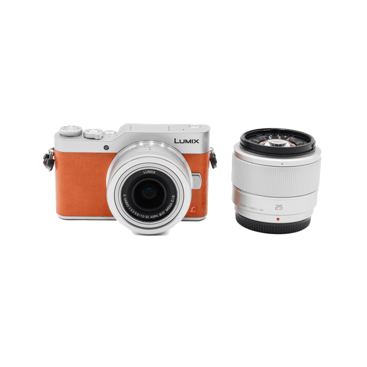 レンタル - Panasonic(パナソニック)LUMIX DC-GF9W ダブルレンズキット